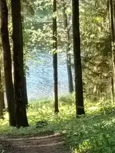 Кристалл - 53