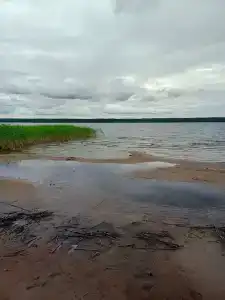 Лотос - 22