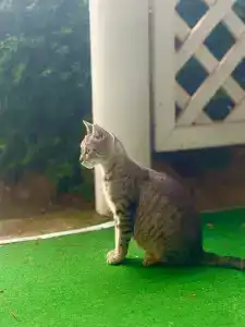 Manor Beach Kazantip - 16