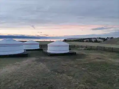 Байкал-Бабр - 50