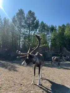 Огни Имандры - 32