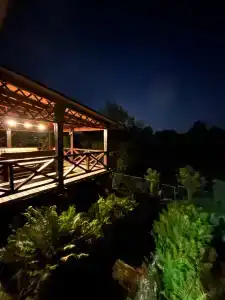 Forest river - 27