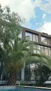 Булгаков - 89