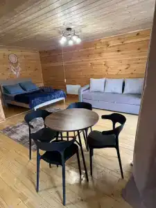 Арника - 2