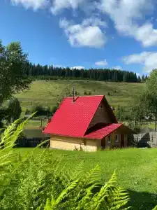 Большая медведица - 26