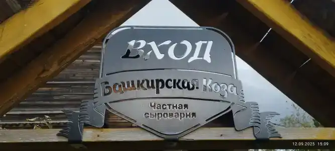 Башкирская коза - 2