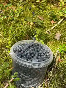 Дом на Вуоксе - 37