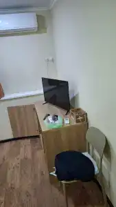 Фламинго на Тургенева - 28