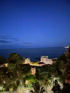 Petit Royal - 12
