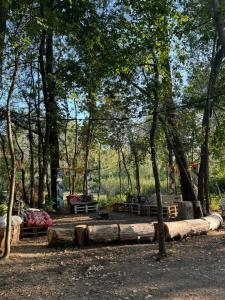 Юрта-парк на острове - 85