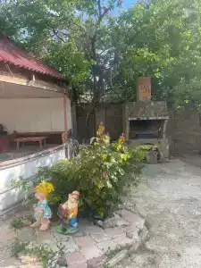 В гостях у Эльвиры - 5