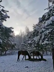 Круиз Вилладж - 42