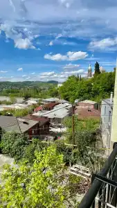 Зеленый цветок - 35