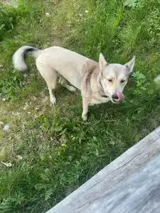 Коккосалма - 44