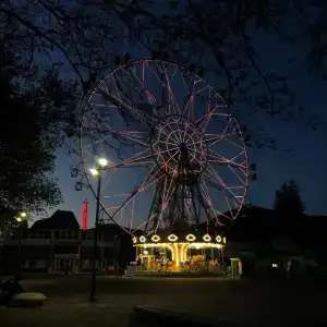 Лилия на Бирюзовой - 3