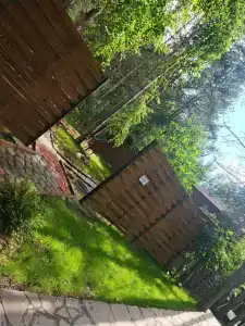 Магия леса - 98