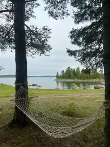 Кедр Грасс Белое Море - 28