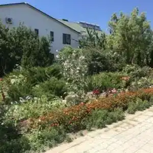 Гармония - 10