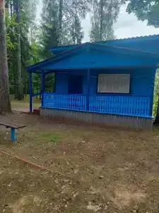ЗиД - 29