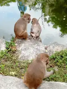 Green World Nha Trang - 35