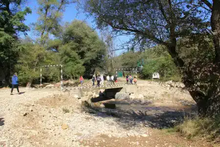 Снежный Барс - 11