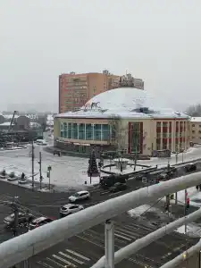 Профит - 31