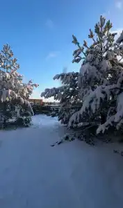 Олимпиец - 33