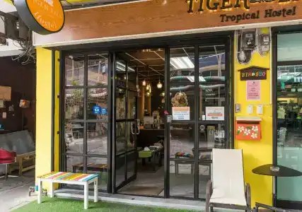 Tiger Lily - 29