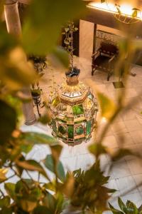 Reina Cristina - 4