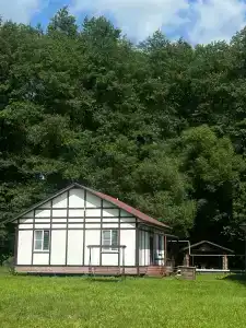 Искра - 40