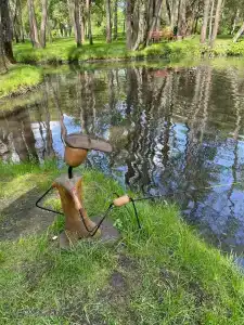 Медикал Спа Резорт Альфа Радон - 42