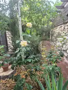 Старый Город - 89