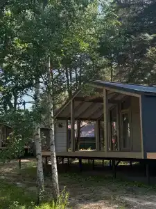 Wood Wood Wood - 71
