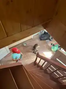 Витальница - 25