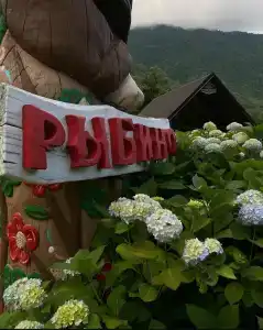 Рыбино - 37