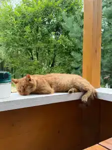 Беловодье - 31