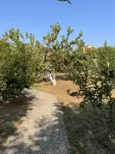 Азов Бриз - 81