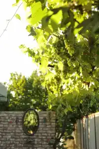 Берег13 - 41