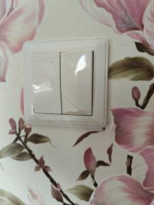 Флотилия - 86