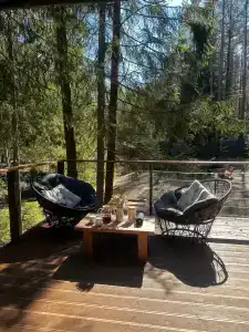 Fox in forest - 40