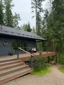 Fox in forest - 15