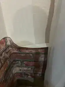 Ной - 29