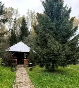 Романов дача - 21