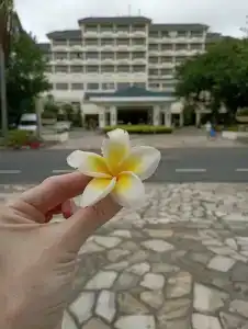 Palm Beach Resort & Spa - 12