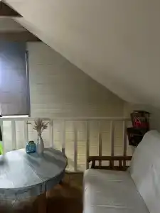 Пенеснарь - 69