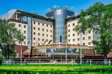 Реальянс - 31