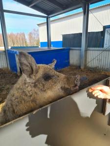 Александровский спас - 98