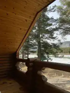 Кедровый - 8