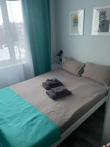 Уютная квартира - 79