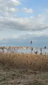 Берега - 17